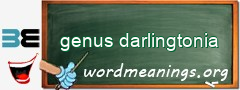 WordMeaning blackboard for genus darlingtonia